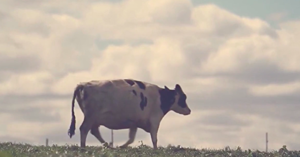 Delaval