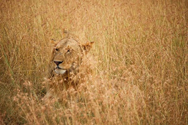 Berghs students made the shortlist in Future Lions 2018 Berghs students made the shortlist in Future Lions 2018